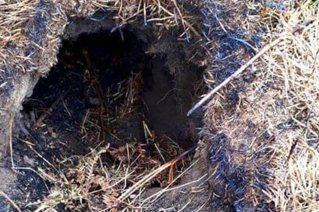 Police are hunting arsonists who deliberately set fire to a badger sett in Sheffield