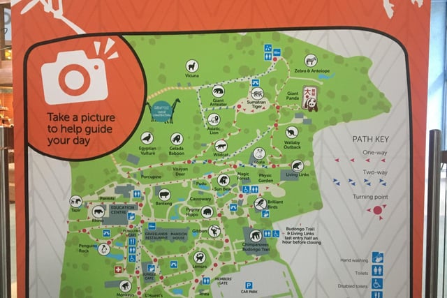A map showing the new routes that visitors are asked to take when walking around the grounds which now include mostly 'one way' - red arrows - and a few 'two way' routes - blue arrows