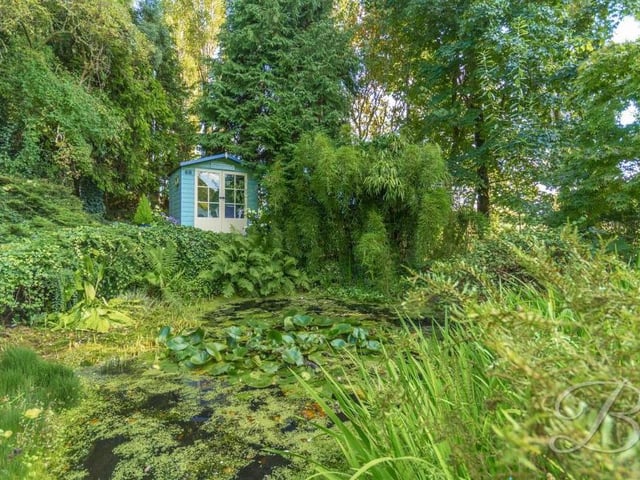 A serene shot that could depict the middle of the UK countryside. In fact, it's taken from the garden of the Mansfield Road property.