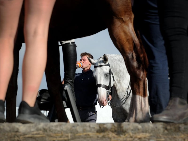 Animals and handlers stayed hydrated in the warm weather.