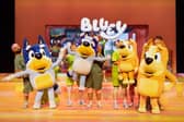The Olivier Award nominated Bluey’s Big Play to visit Connexin in Hull.