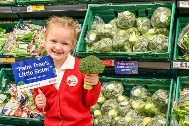 Tesco extends national Fruit & Veg for Schools programme in Sheffield