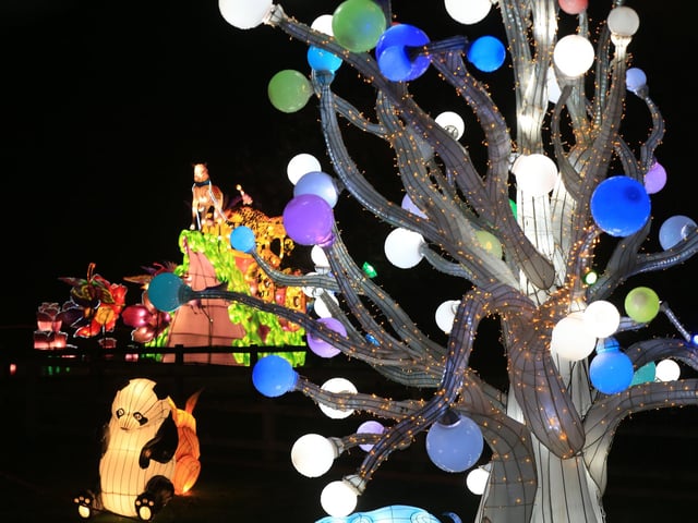 A spectacular light and lantern festival created some dazzling Christmas magic as the award-winning Yorkshire Wildlife Park unveiled the Winter Illuminations trail today. Picture: Chris Etchells