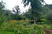 The restored Arboretum in Graves Park, Sheffield that was once part of Norton Nursery. Picture: Friends of Graves Park