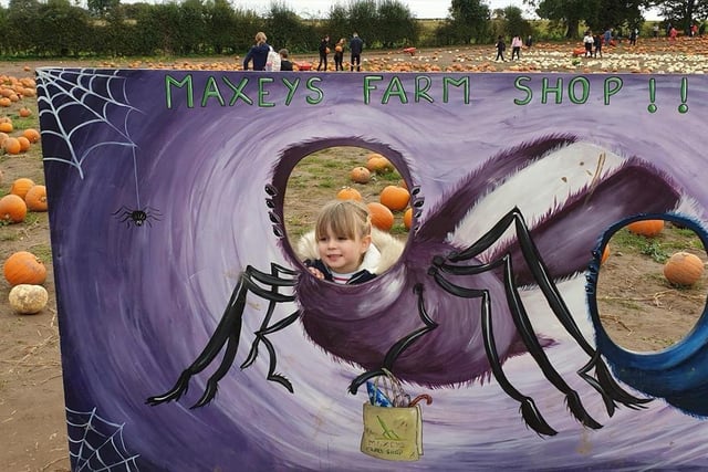 Not far from our patch, at Maxey's Farm in Kirklington, you can get into the Halloween mood by picking your own pumpkin from a field where they are grown from seed. There are thousands to choose from, so grab a wheelbarrow and off you go! The farm is also hosting a spooky woodland walk.