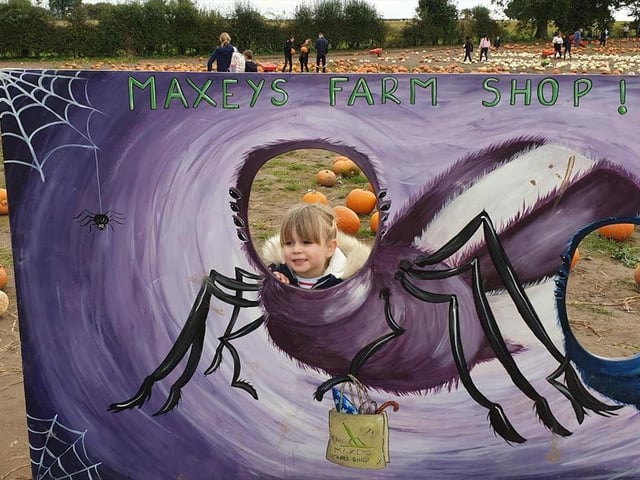 Not far from our patch, at Maxey's Farm in Kirklington, you can get into the Halloween mood by picking your own pumpkin from a field where they are grown from seed. There are thousands to choose from, so grab a wheelbarrow and off you go! The farm is also hosting a spooky woodland walk.
