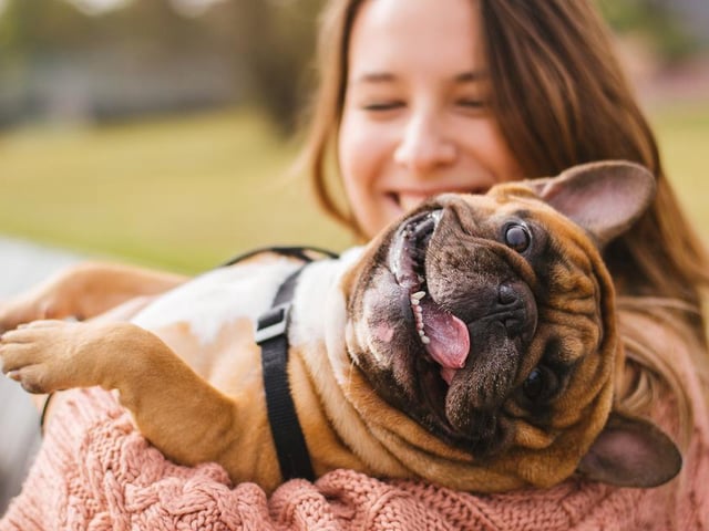 Luna ranked as the second most popular female dog name, with Charlie ranking second for males.