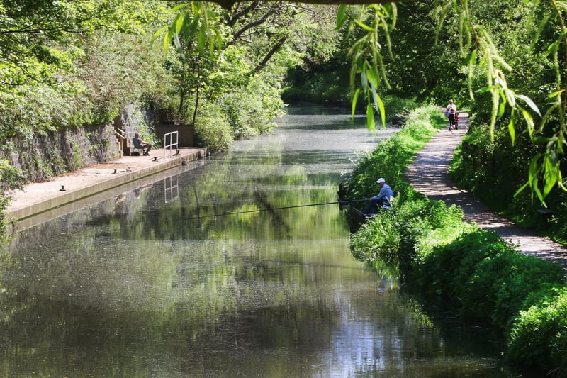 There are plenty of walks to go on at Chesterfield Canal one even stretches 46 miles from Chesterfield to West Stockwith. One review said: "Great walk along the Canal and a lot of wildlife to see."
