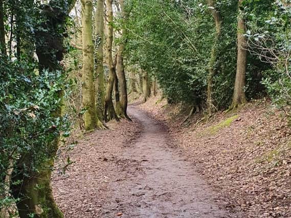 Bolehill Wood in Woodseats could be threatened with development, campaigners say.