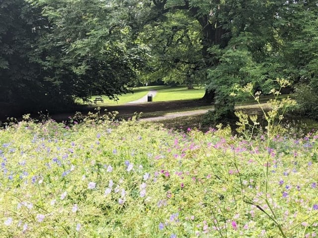 Chelsea Park is ideal if your kids don't like the hustle and bustle of a packed playground. You're always surounded by nature here - it's very relaxing.