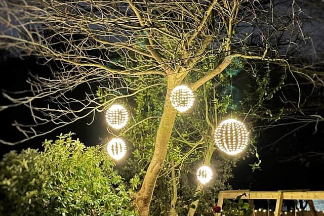 These lights in Dan Walker's garden had a lot of admirers (pic: Dan Walker/Twitter)