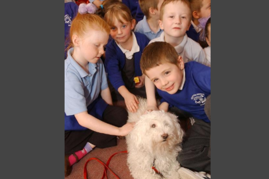 Molly the Bishon Frise was helping pupils at Southwick Primary School to learn how to look after pets. Were you in the picture?