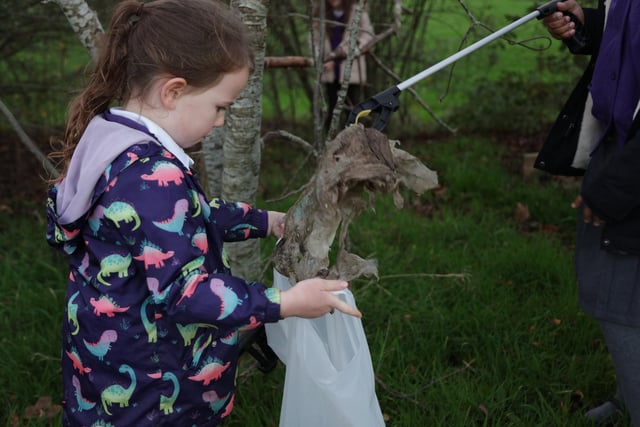 Alana Buckmaster, age six, picking litter