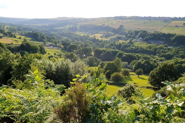 Rivelin Valley Park, 70 Rivelin Park Road, Sheffield, S6 5GE. Rivelin Valley park has a plethora of beautiful, quiet spots for you to have a relaxing picnic in. There's also a few nature trails here if you'd like to do a bit of walking.