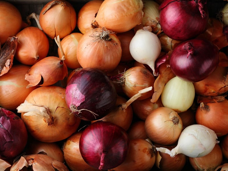 The onion family, whether dry, raw, or cooked, is particularly toxic to dogs and can cause gastrointestinal irritation and red blood cell damage. Eating these vegetables and herbs can cause stomach and gut irritation and potentially lead to red blood cell damage and anaemia. These ingredients are particularly popular in takeaway food therefore it is good practise to never feed your dog human food you haven’t prepared yourself.
