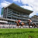 Sky Bet Ebor Festival to become ‘mane’ event for Yorkshire-based charities, foundations and community groups