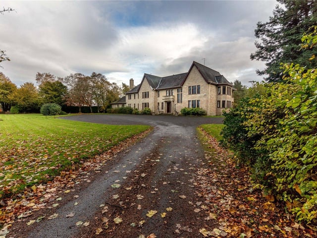 Driveway.