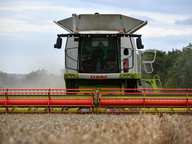 Wheat harvest at Wheatrig Farm, Longniddry.