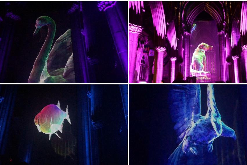DN Light Festival photos.