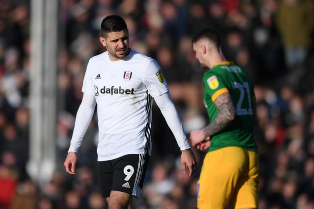 The Serbian striker is currently been suspended after elbowing Ben White in Fulham's 3-0 Championship loss against Leeds United. However, Mitrovic, 25, has scored 23 of Fulham's 52 league goals in the Championship this season and is the league's joint-top scorer. The striker has improved since leaving Newcastle United to head south for a cool £22m.