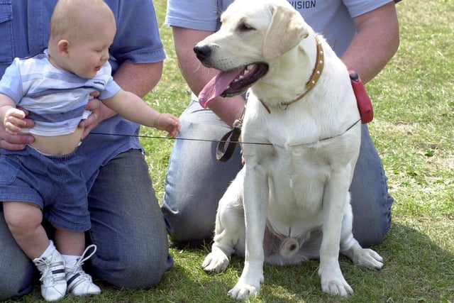Samuel Higgins (7 months) met 'Max'  at Parson Cross Park in  2003