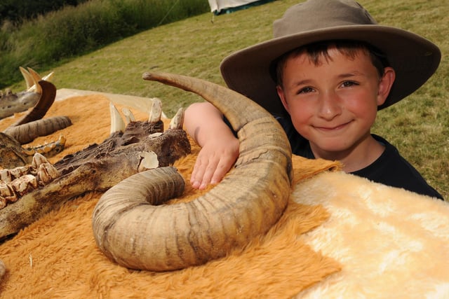 Daniel Corey, seven, examined a mouflon sheep horn in 2010