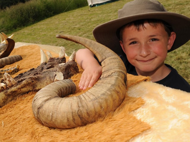 Daniel Corey, seven, examined a mouflon sheep horn in 2010