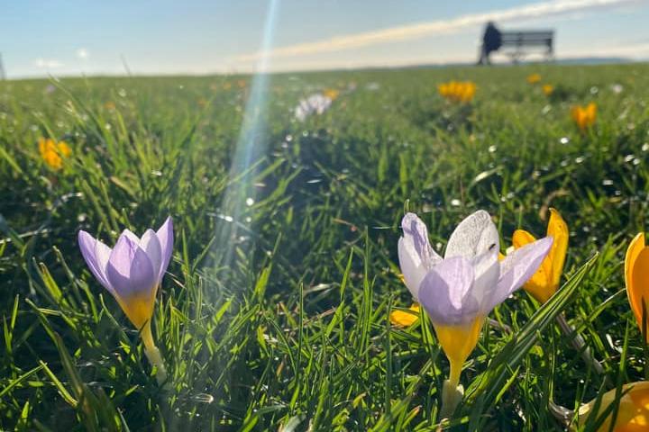 Spring scene captured by Claire Duncan-Kerr.