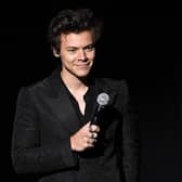 Harry Styles is set for a busy year, with a Coachella performance in hand, the forthcoming release of his third studio album Harry's House, as well as playing a leading role in his beau Olivia Wilde's film, Don't Worry Darling. (Photo credit should read ANGELA WEISS/AFP via Getty Images)