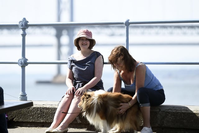 Locals enjoy the good weather with a beautiful dog.