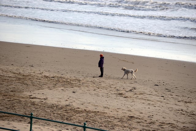A lone dog walker on Seaburn Beach.