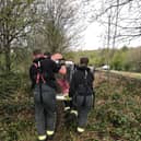 RSPCA rescue a deer from a Rothrham canal.