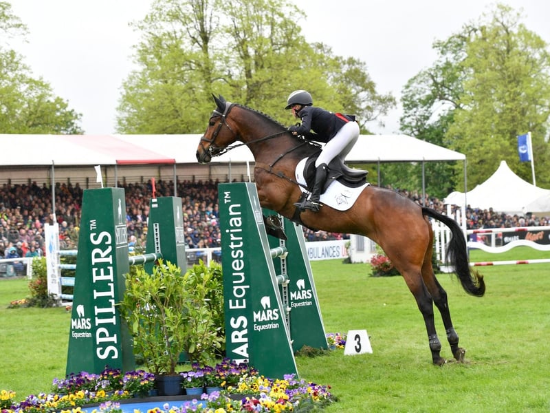 The equestrian trio became Team GB's first gold medal winners at the Paris Olympics, taking first place in the team eventing. For Collett, it was her second team medal at the Olympic after winning gold at the Tokyo games in 2021. Canter's was her first and McEwen took his third Olympic medal after winning one gold (team) and one silver (individual) in Tokyo.