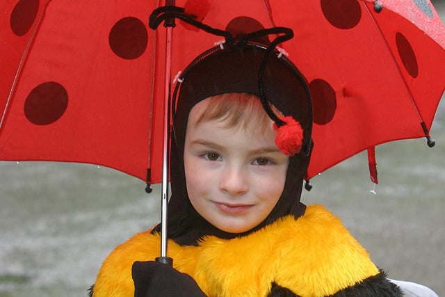 Whaley Bridge carnival, trying to keep his wings dry 4 yr old Max Cubitt