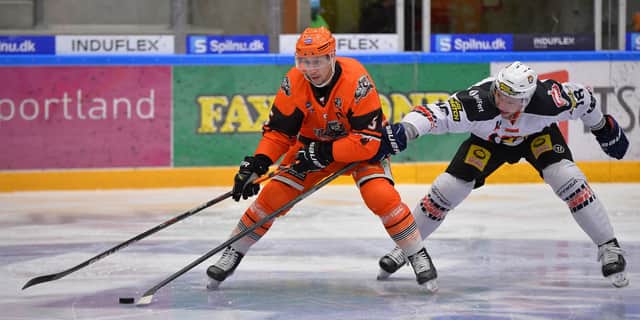 Sheffield Steelers' Daine Todd in action