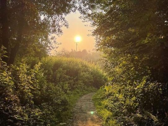 The sun has been kind to us recently - from @nikalwest