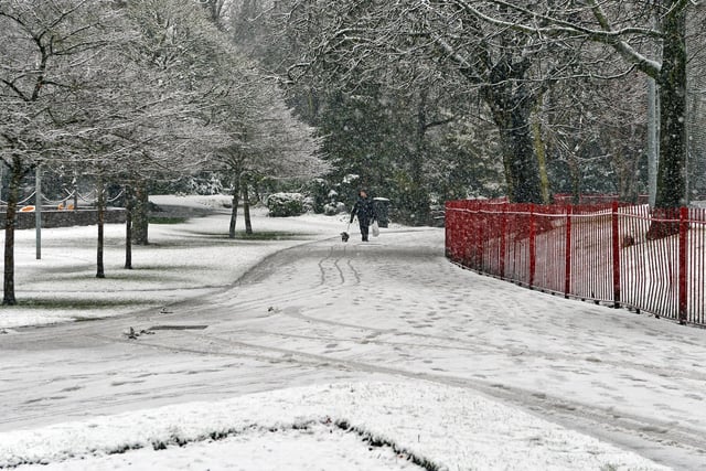 Dog walkers were out in Queens Park, Chesterfield