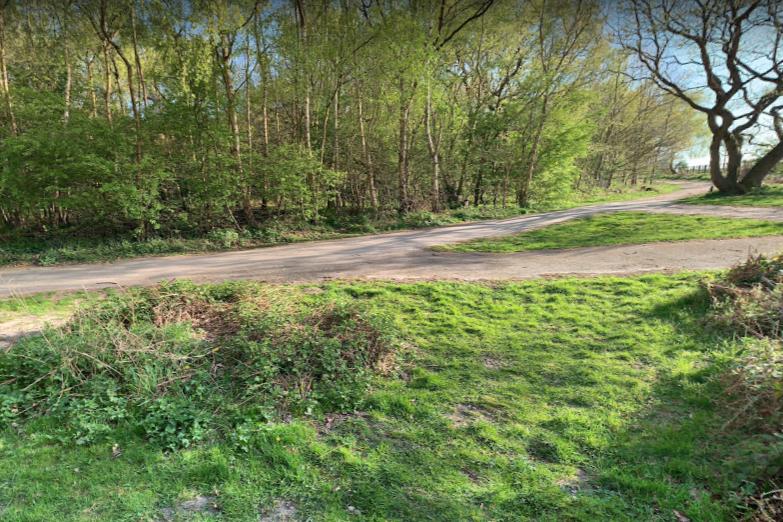 Bestwood Country Park Circular is a picturesque 5.0 kilometre loop trail located near Hucknall. Beautiful woodland walks await and stunning surroundings to enjoy a picnic with your mum.