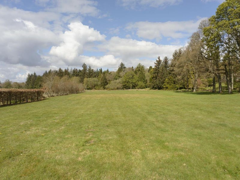 Meadow.