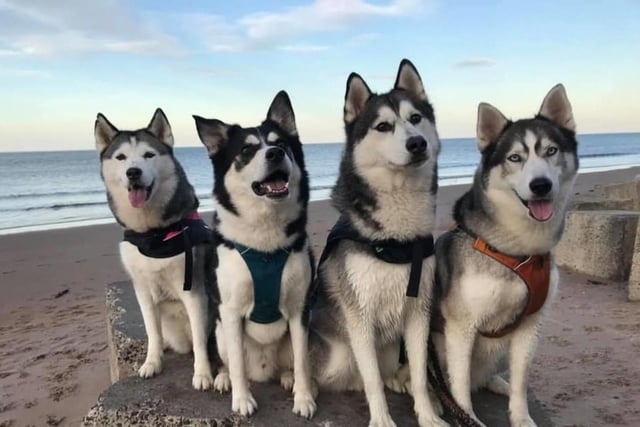 The squad at the beach.