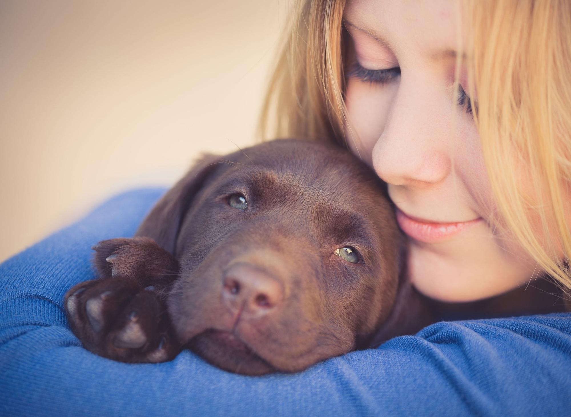 When it comes to keeping you warm on cold winter everings, some breeds of dog are simple more snuggly than others.