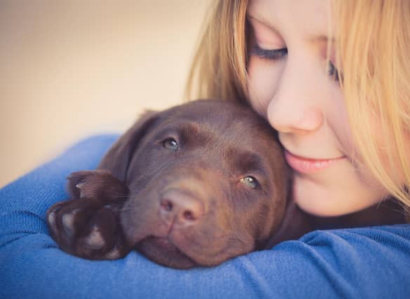 When it comes to keeping you warm on cold winter everings, some breeds of dog are simple more snuggly than others.