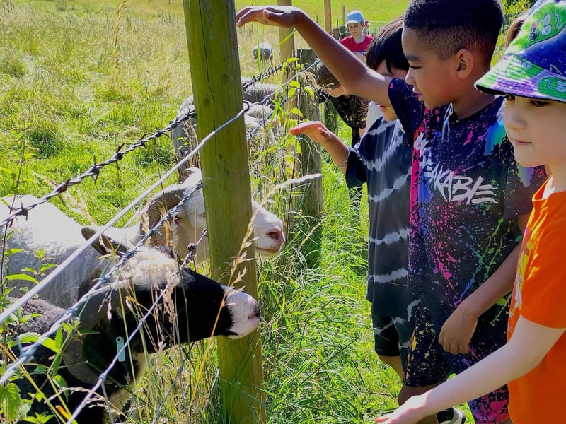 Sheep, rabbits, and alpacas, Meanwood Urban Valley Farm has got it all. First established in 1980, this city farm invites kids and adults alike to re-engage with nature.