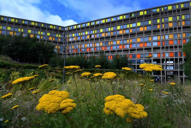 Park Hill Flats after the regeneration project by Urban Splash. Picture: Simon Hulme