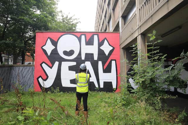 Tour of the on going works on Park Hill. New works by Kid Acne. Picture: Chris Etchells