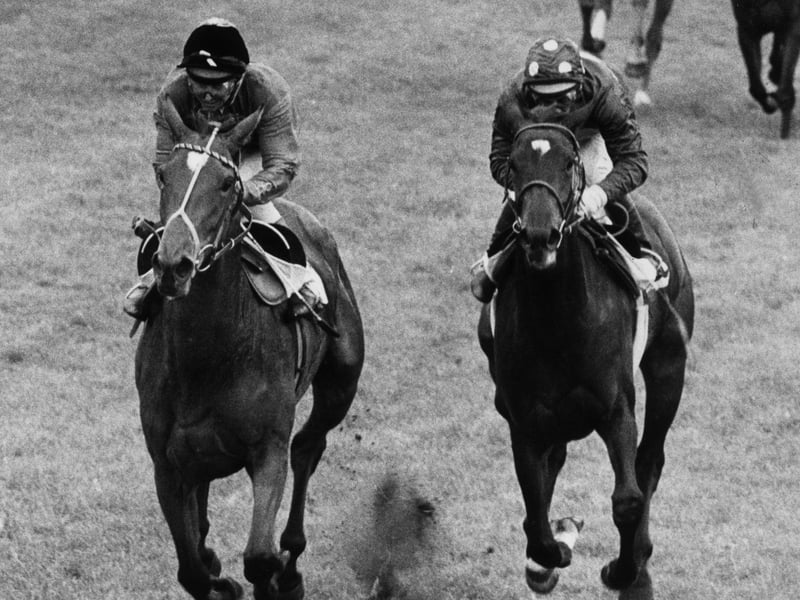 Scottish jockey Willie Carson, riding the Queen's horse 'Dunfermline' to victory in 1977, Her Majesty's Silver Jubilee year.  