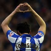 Fernando Forestieri is leaving Sheffield Wednesday... For free.  (Photo by Nigel Roddis/Getty Images)