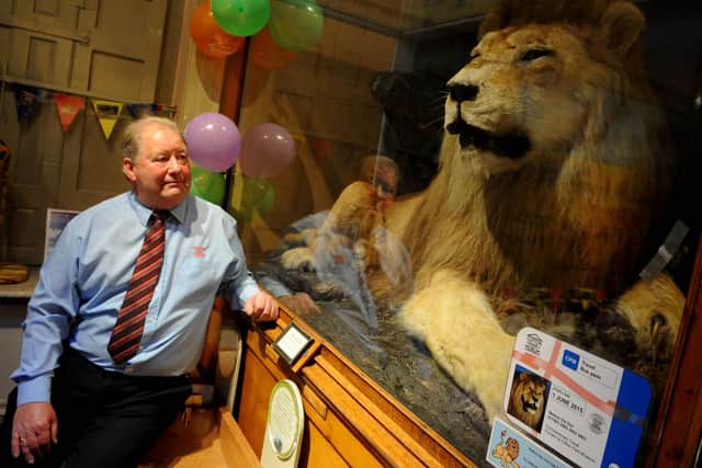 Nelson the lion, pictured in 2011 with Clifton Park museum customers officer Richard Mitchell
