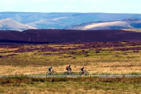 Cyclists riding past the Peak District heather on their way back down to Sheffield city centre