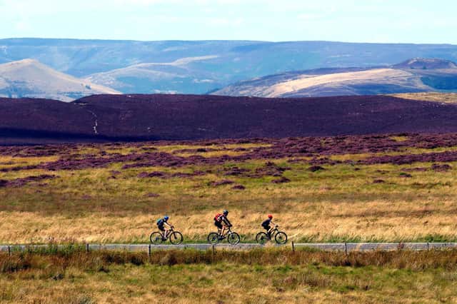 Cyclists riding past the Peak District heather on their way back down to Sheffield city centre